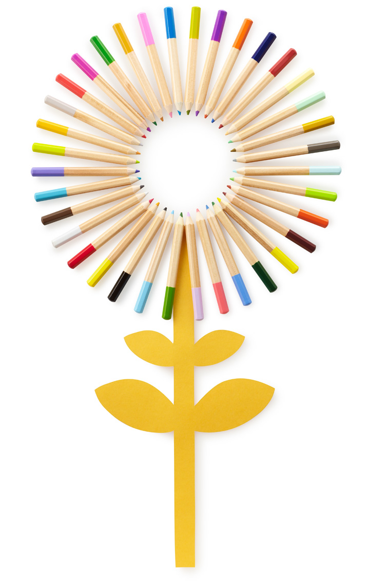 343916_KMM_PencilFlower
